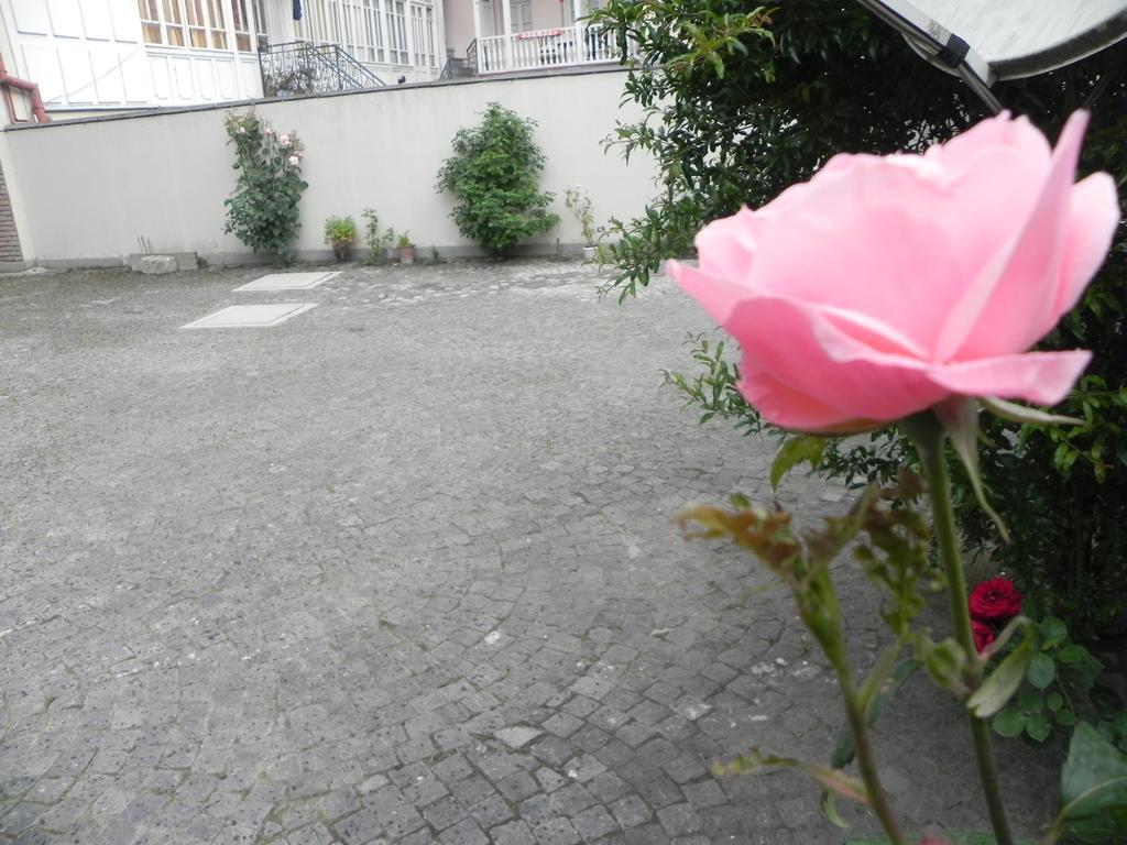 Old Yard Guest House Tbilisi Luaran gambar